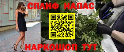 спиды Сланцы