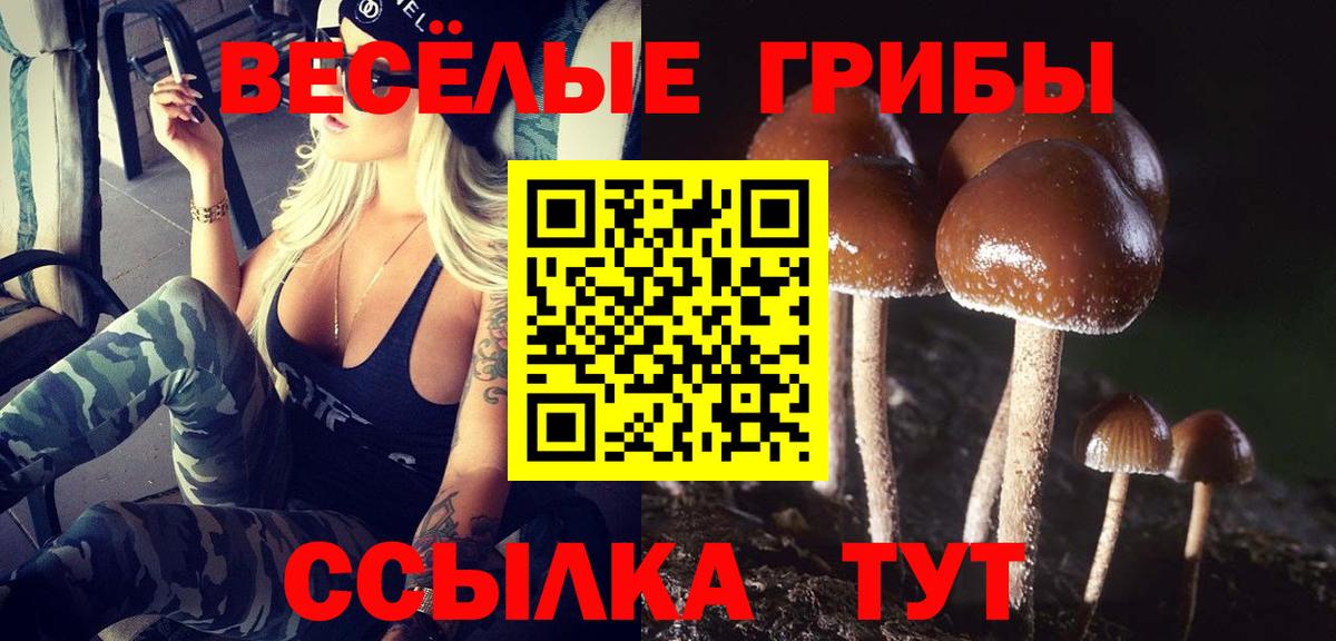 Галлюциногенные грибы Psilocybine cubensis  Вход с VPN  Норильск 